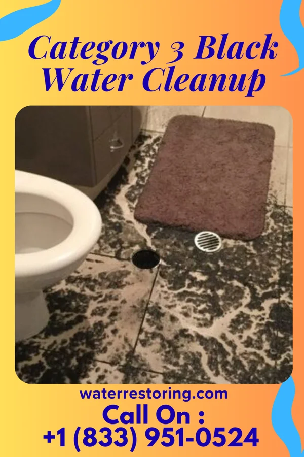 Category 3 Black Water Cleanup in Ridgely, MD