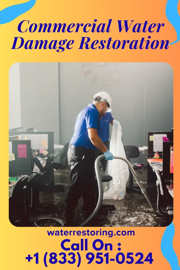 Commercial Water Damage Restoration in Ridgely, MD