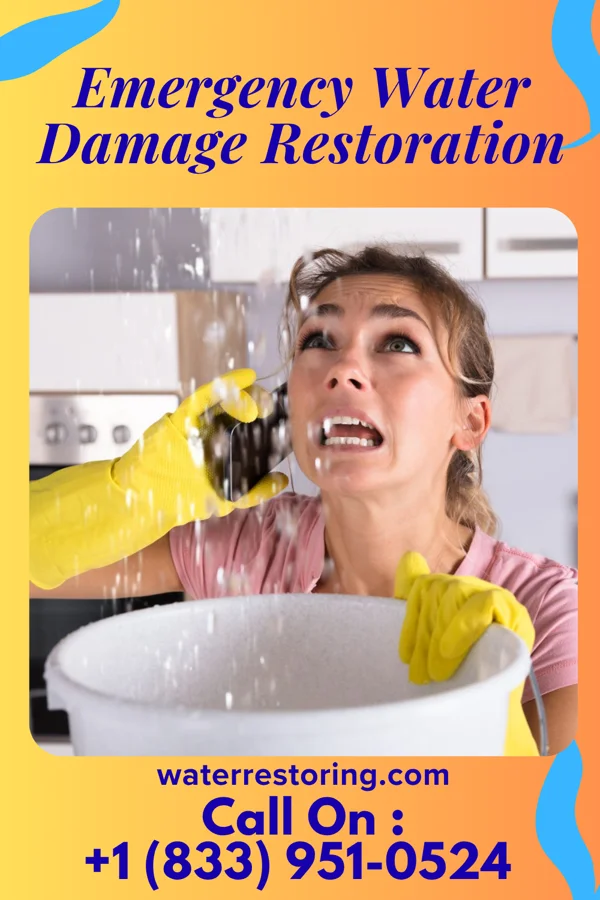Emergency Water Damage Restoration in Ridgely, MD