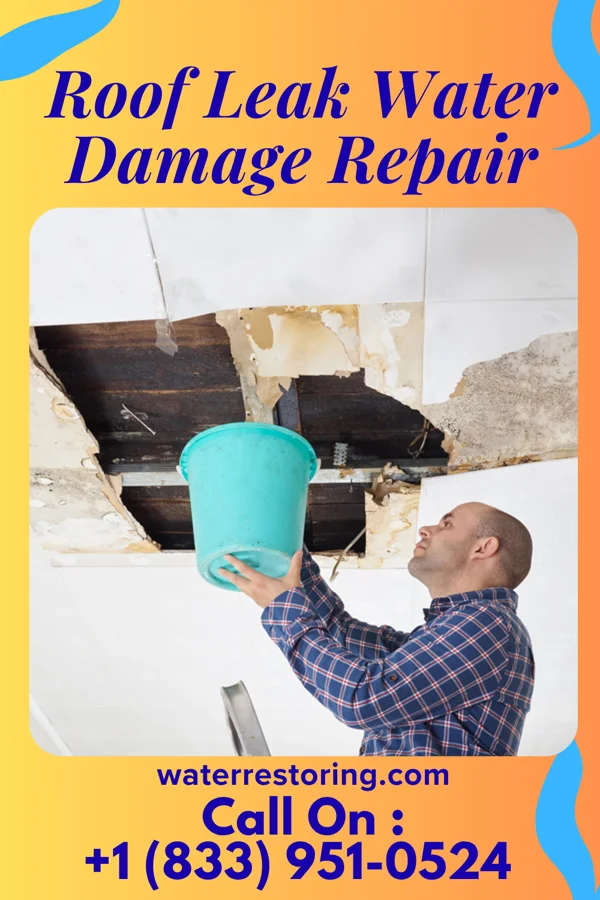 Roof Leak Water Damage Repair in Ridgely, MD