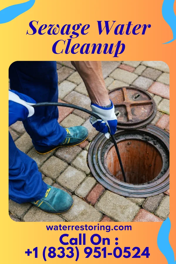 Sewage Water Cleanup in Ridgely, MD