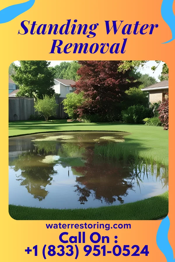 Standing Water Removal in Ridgely, MD